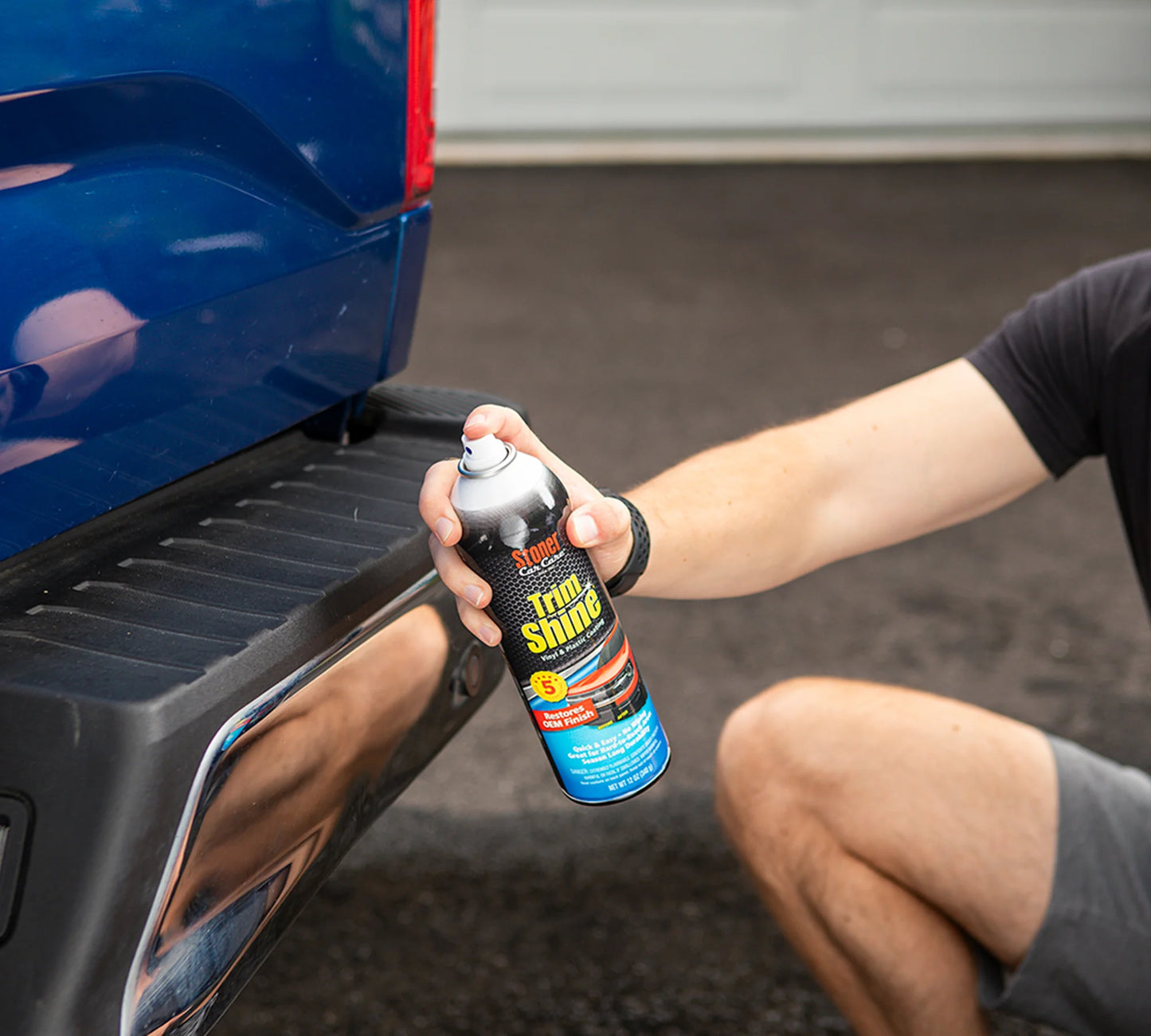 Stoner Car Care Trim Shine (Aerosol)